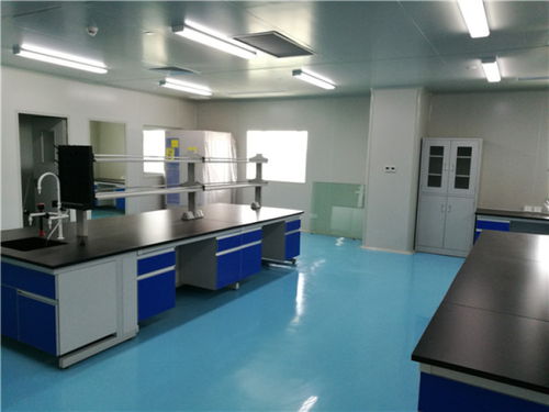 铜陵洁净室施工 网络工程的关键角色与实施策略